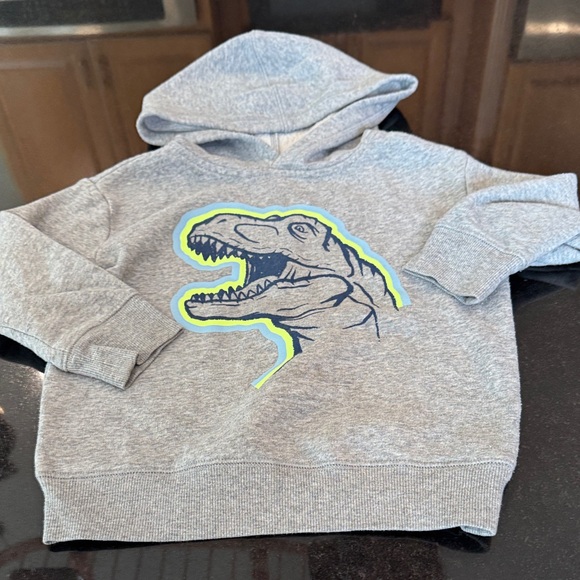 jumping beans Other - Gray Dinosaur fleece Hoodie for Kids